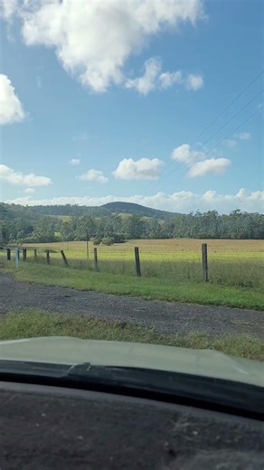 baby powder everyday