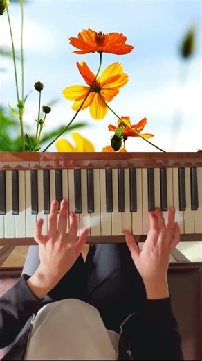 Bach Prelude C Major Piano Guide Short