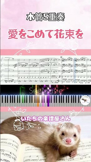 ☝️フルver.公開中🌷愛をこめて花束を＊木管5重奏 #楽譜 #score #arrange
