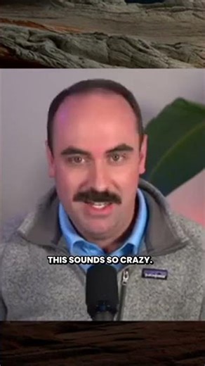 The Real Reason YNAB Exists (It’s Not What You Think)