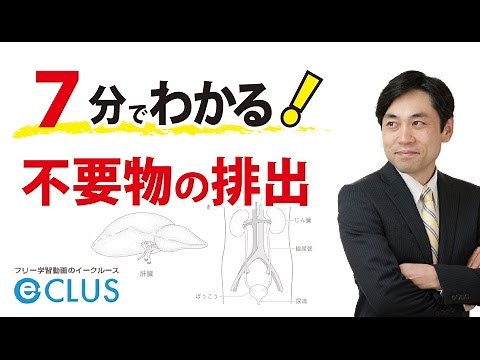 不要物の排出 中学理科 2年 2分野 動物の生活と生物の変化6