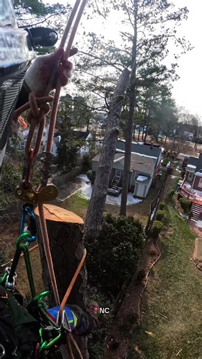 Techniques for Logging and Arborist Climbing