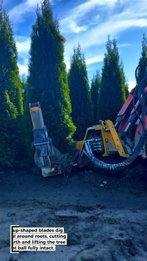 Automatic Tree Transplanter for Replanting!