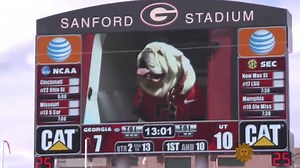 7.9K views · 194 reactions | Sunday Morning Question June 17th is #NationalMascotDay a day recognizing the luck they bring to teams, franchises, and more. Martha Teichner met the University of Georgia bulldog mascot, Uga in 2014. Who is your favorite mascot and why? | CBS Sunday Morning | Facebook