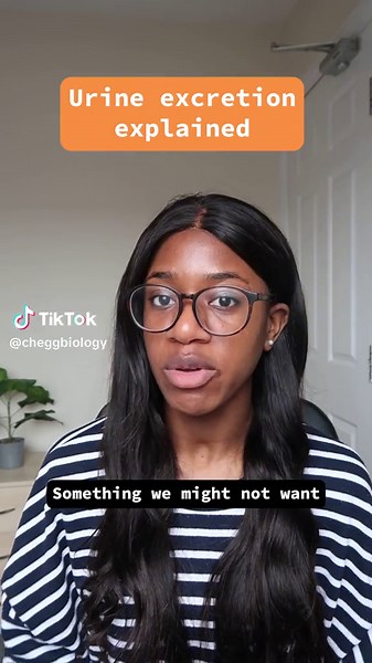 Excretion explained 🙇‍♀️ #LearnwithChegg #Biology #BioTok #STEM #nursing