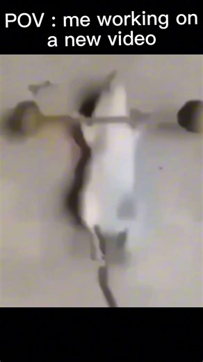 If this goes viral I’ll fart loud in class