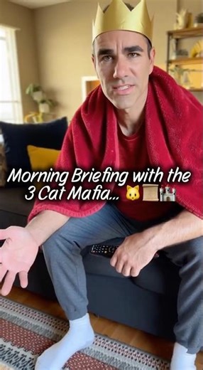The Cat Mafia brings the morning briefing... 🐱📜🏰 #3CatMafia #KingJonathan #Josie #Lola #FunnyCats