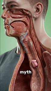 What Happens If You SWALLOW Chewing Gum? 🍬