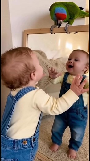 Baby parrot cute moments #parrot #babyandparrot #BabyAndParrotMoments #ParrotAndBabyVibes #CuteLittleTalks #BabyAndParrotLife #SweetBabyAndParrot | Baby & Parrot