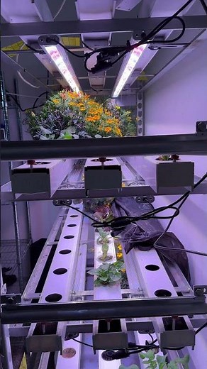 Indoor Vertical Farming ☀️