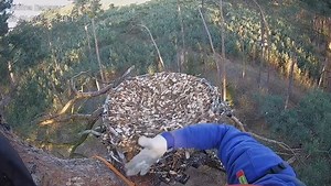 1M views · 13K reactions | W dniu dzisiejszym musieliśmy na cito...