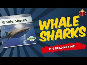 Whale Sharks Abdo Kids | Reading Books For Kids