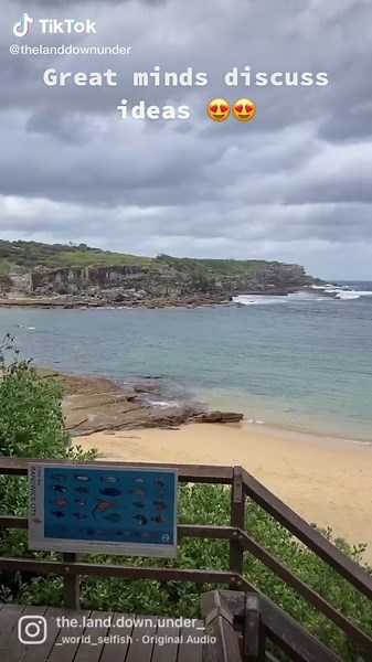 #greatminds #goodminds #ideas #people #denzelwashington #quotes #photography #travel #fyp #fypシ #australia #littlebay #aussie #aussieland #ocean #😍