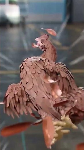 Why are dead chickens being released onto airplanes? 🤨