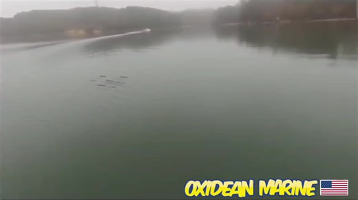 98MPH DOMINATOR MONO RC BOAT BY Oxidean Marine!