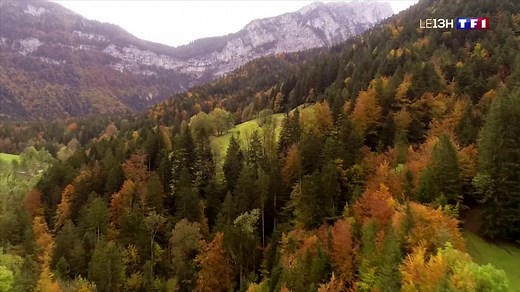 A la découverte de la forêt domaniale de Grande Chartreuse et de ses artisans du bois | TF1 Info