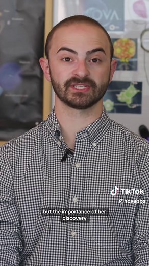 The discovery of Lucy, a 3-million-year-old skeleton in the Ethiopian desert, changed scientists’ understanding of human evolution. #lucy #humanevolution #hominin #primate #skeleton #discovery