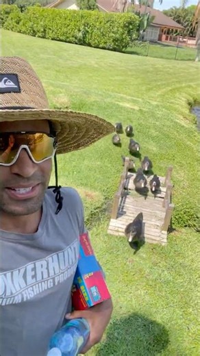 I’m a DUCK MOM! **DAY 1 to 100** #Shorts