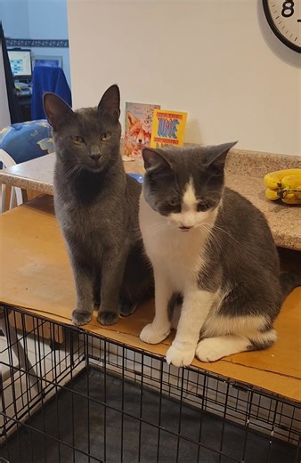 Suzanne Johnson on Reels