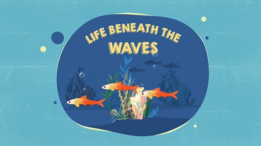 KS1 Geography - Oceans: Life beneath the waves
