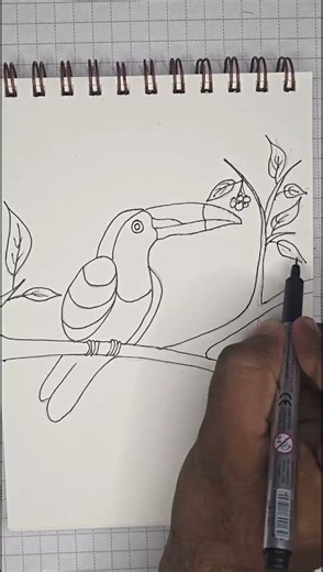 Toucan Bird Pencil Drawing | Easy Step by Step Sketch #drawing #toucanbird #pencildrawings #art