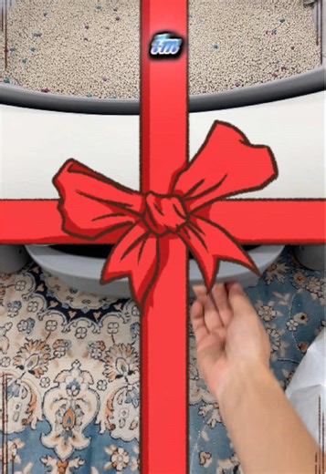 Effortless Spring Cleaning with Self-Cleaning Litter Box