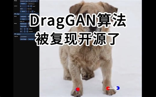 DragGAN算法被复现开源了，转头转身修脸修表情这些都能做，强大！