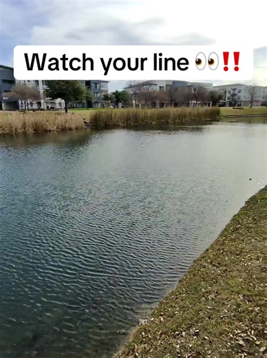 Lost fish don’t always mean bad luck. Most times it’s a rushed knot or frayed line. Take 10 seconds and save the next bite 🎣 #PondFishing #BassFishing #BankFishing #FishingTips #DFWbassfishing