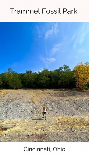 Did you know there is a park in Ohio where you can dig for fossils and keep what you find?! 🦴 Trammel Fossil in Sharonville, Ohio, is open to the public for FREE 7 days a week from dawn to dusk for archaeologists of all ages who wish to fossil hunting. ⛏️ Here are few tips for planning an adventure to Trammel Fossil Park: 💸 The park is completely FREE! ☀️ There is little shade. Come on a cool day and bring sunscreen. 💧Bring water to drink. ⚒️ Bring tools to dig. A hammer, chisel, small brushe