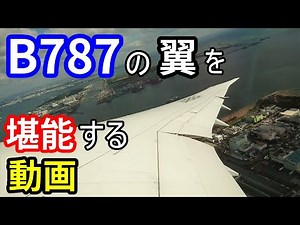 B787の主翼を堪能する動画