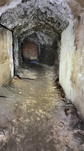 Janna on Instagram: "Ich nehme euch heute mit in den Honig Bunker 🩷"