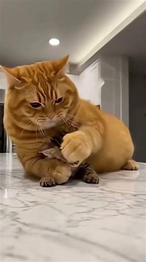 #funny #funnyvideos #fyp #pov #foryoupage #fypシ#foryou #viral #tiktok #blowthisup #actingclass