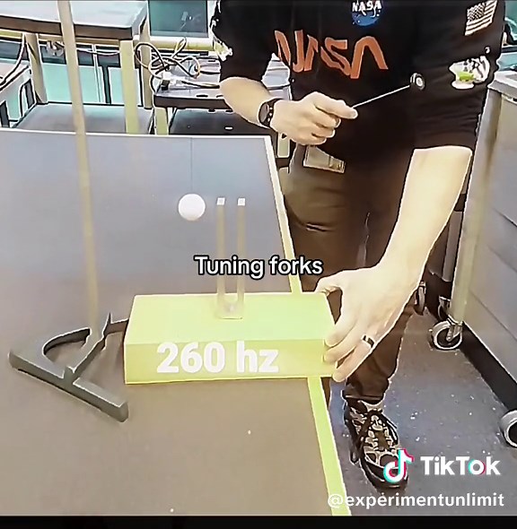 experimentunlimit on TikTok