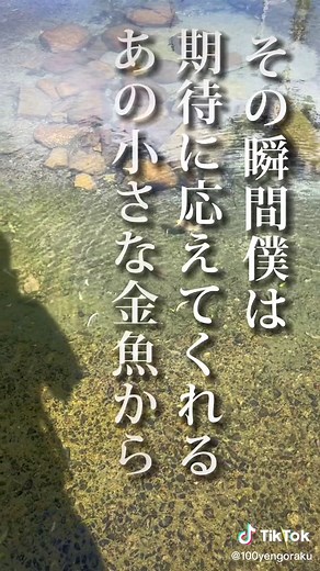 コイの餌やりでのイラッと体験