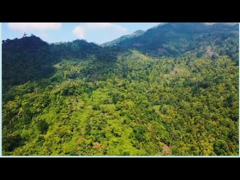 Cloudpath – Peaceful Mountain Journey | Relaxing Ambient Music & Nature Sounds