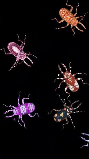 7 Colorful Beetles Running on Screen Loop #screenbugs #stagbeetle #catsgames #funnybugs #phonebug