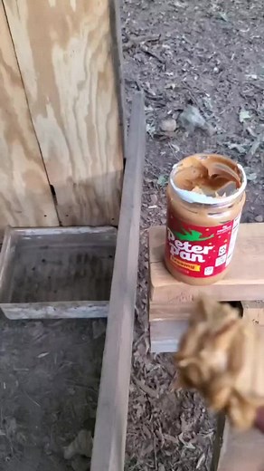 #fyp #HowTo #farmlife #diy #autowaterer #teaching #pig