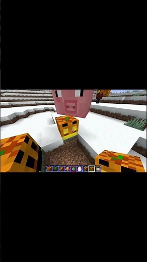 die erste Version vom Paluten Texture Pack