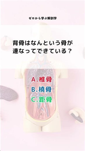 Do you understand this??