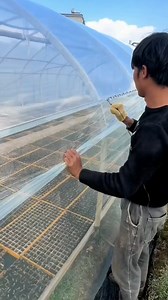 211K views · 534 reactions | Innovative Solar Panel Protection in Japan" #SolarPanels #Japan #Agriculture #Innovation | ताज़ा खबर | Facebook