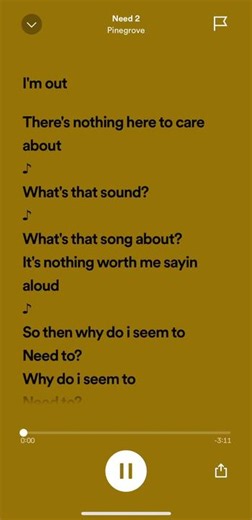 Pinegrove Problems Lyrics Song on Electric Guitar