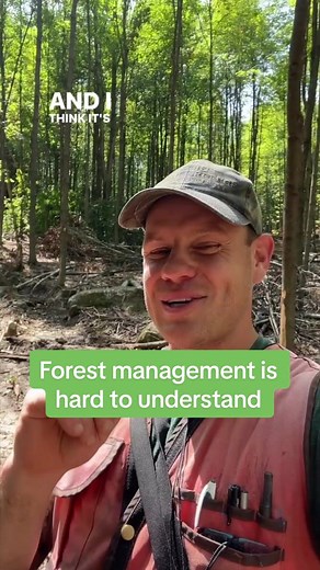 Understanding Forest Management and Conservation Efforts