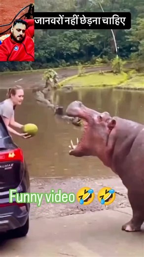 Shabbir Ali on Instagram: "#helloworld☺☺☺ funny video🤣🤣"