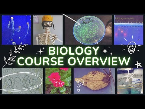 What Do You Study in Biology? // High School Biology Course Overview