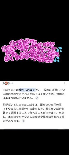 #家庭菜園#畑のラスボス#ごぼう#ごぼうモンスター#ごぼうのつぼみ#ごぼうの花#TikTok#TikTok配信者#TikTokライバー#TikTokもよろしく