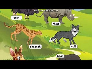 Std 2 - English - Term 2 ( Look and say - Animals names )
