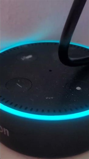 Amazon Alexa.