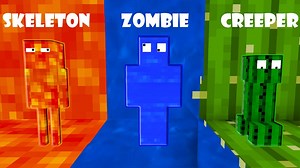 Monster School : HIDE AND SEEK CHALLENGE Minecraft Animation