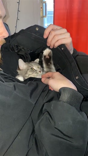 “Let’s close this, thank you”