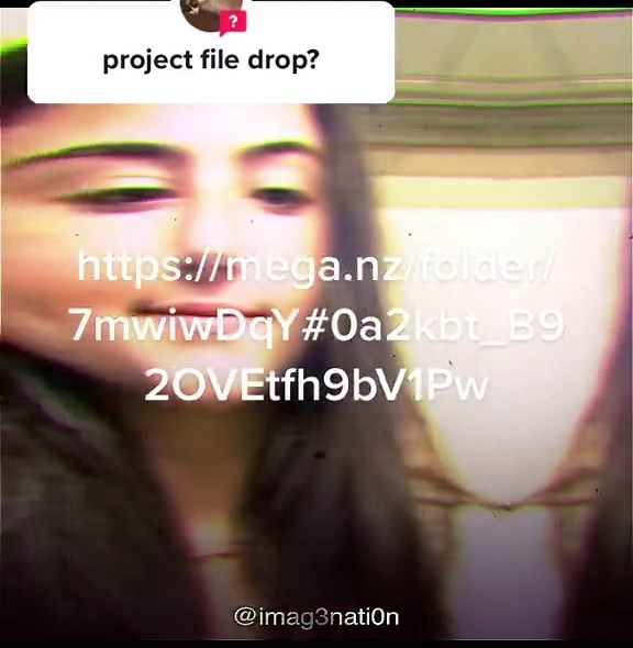 Charlie D'Amelio Mega Folder - Download Now!